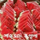 7월 17일(금)(경기) 방에 오심을 환영 합니다 이미지