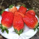 전라남도 농업기술원 과수연구소 | 이마트 논산 킹스베리 딸기 먹어 본 후기ㅣ딸기 가격 당도 종류 딸기 가이드