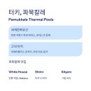 고대1088 | 동유럽 온천 여행 루트: 부다페스트부터 터키까지