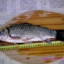 백곡낚시터 이미지