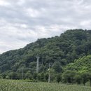 청림민박 이미지