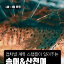 주식회사 컴퍼니제이에스 이미지