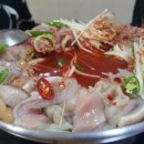 바다집 - 삼척시 임원항구로 6 | 바다집