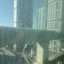 강원동물약품 | 원주 한솔솔파크아파트 유리창청소 후기