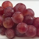 (주)거봉 이미지