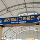 2024년 철원 화강 다슬기축제 직접 체험한 후기, 꿀팁