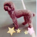 제연동물병원 이미지