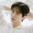 준호폰 티스토리