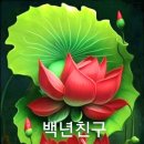 7~8월 계곡산행 ㅡ한시적 허용 ㅡ 지리산 국립공원ㅡ 설악산 국립공원 ㅡ 속리산 국립공원 내장산 국립공원 ㅡ 오대산 국립공원 한라산 이미지