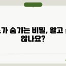 원솔 이미지
