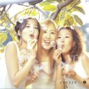 파파야1 이미지