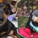 누리한방병원 이미지