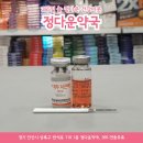 계두농장 네이버블로그