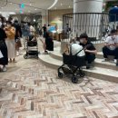 신세계 애견미용샵 이미지