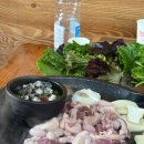 무의도맛집 웰빙미나리쌈밥 | 애견동반 무의도맛집 웰빙미나리쌈밥 우렁쌈밥+오리구이