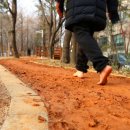 금천배수지근린공원 이미지