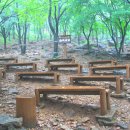 수리산산림욕장 이미지