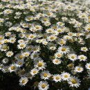 연화민박 이미지