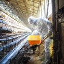 종식농장 이미지