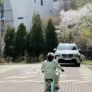 삼천리레스포자전거 | 키 110 안 될 때 샀는데 아직도 타요, 삼천리 딩고20 유아 자전거 후기