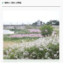 함평종합관광안내소 | 2025 함평 국향대전 | 가족여행 필수 | 일정, 주차장, 주변 볼거리 총정리!(아이와 함께)