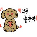 댕댕얌얌 이미지
