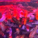 통제영2길 이미지