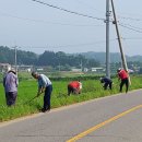 원당1리 이미지