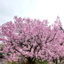 수양천안·아산