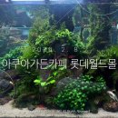 모카롯데월드몰점