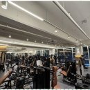 셀럽피트니스 이미지