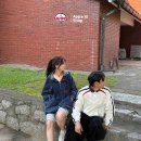 개예쁘다 이미지