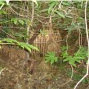 제주 사라봉 일제동굴진지 이미지