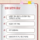 고양이속눈썹 네이버블로그