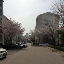 영남5차아파트 이미지