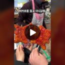 팬더리아 이미지