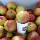 새콤달콩 이미지