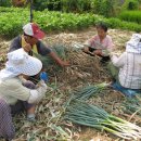 모현동-46 이미지