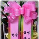 동대구초교병설 이미지