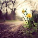 가은5호 이미지