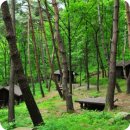 고란길(길안면) 이미지