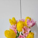 롯데웰빙불한증막사우나 이미지