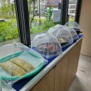 광진포장(주) | 구의동 반찬 맛집 추천 차반 광진구청점 반찬,국 후기 위생적인 집밥느낌 반찬!