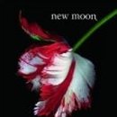 NEW MOON 이미지