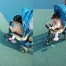 어진가든 이미지