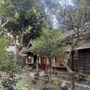 TEA HOUSE | [대만여행] 타이페이 융캉제 대만 감성 찻집 추천 Qingtian Tea House 青田茶館 후기