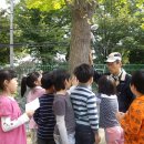 동백초교 이미지