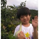 건희농장 이미지