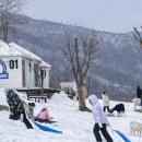 태백목장 이미지