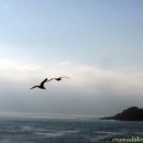 마리아농장 이미지